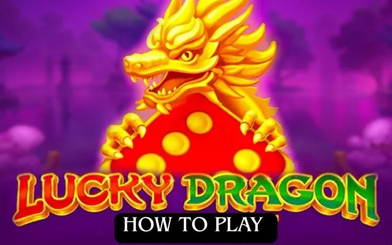 lucky dragon india