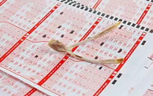 Bhutan Lucky Lottery Result