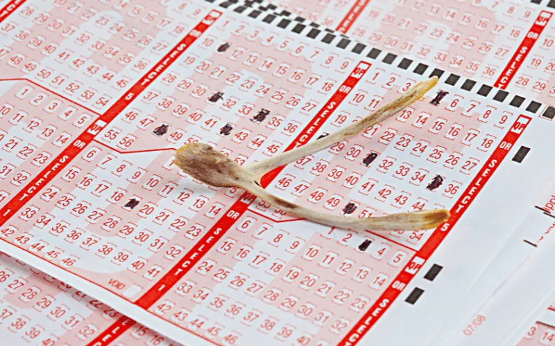 Bhutan Lucky Lottery Result